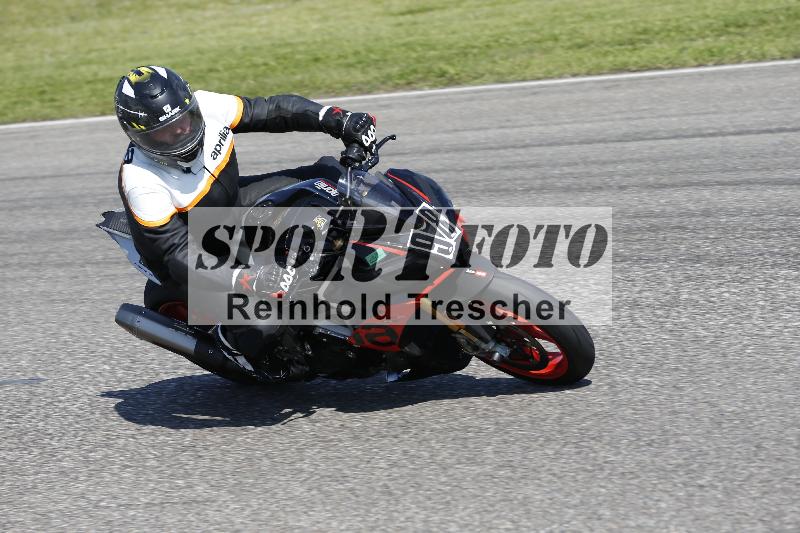 Archiv-2025/11 29.04.2025 PROMAX ADR/Gruppe gruen/98